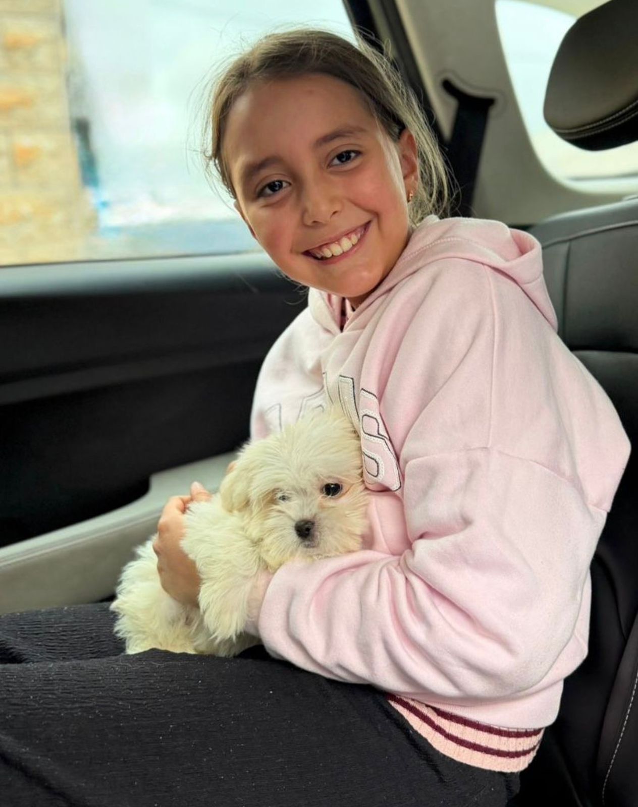 Maltipoo